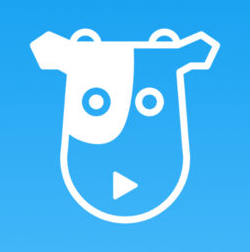 牛牛视频app安卓版官网版v1.0.1.210319