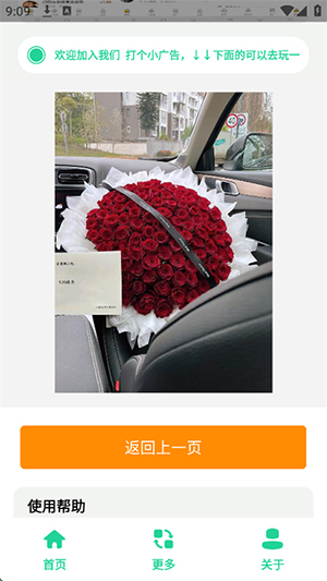 520束玫瑰花图生成器app