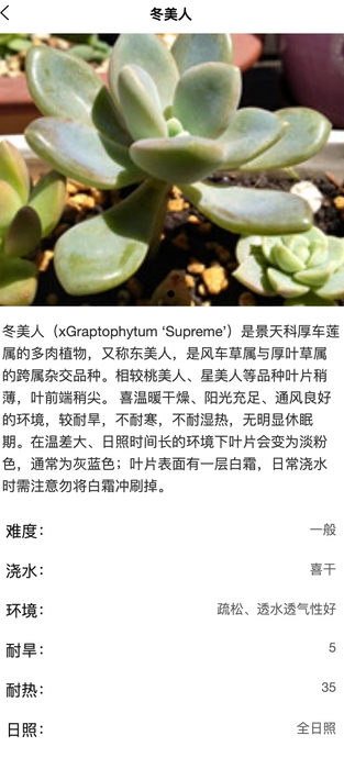 炎焱绿植百科app