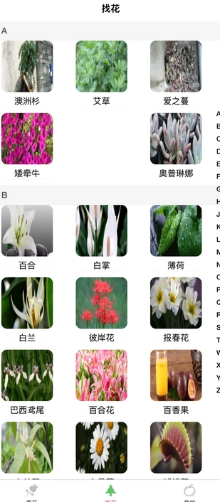 炎焱绿植百科app