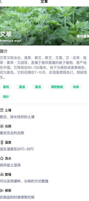 炎焱绿植百科app