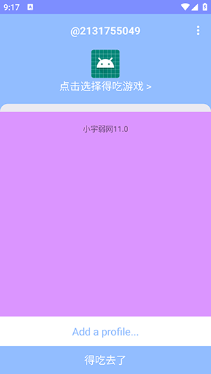 小宇弱网11.0配置参数