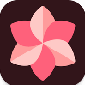 WallSpot壁纸软件手机版v1.6