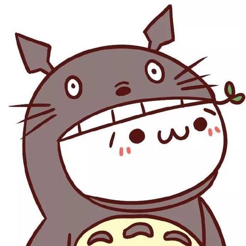 龙猫esp直装apk安卓版v1.0
