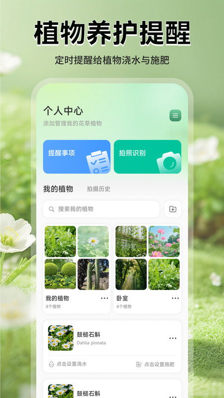 猫满花语app