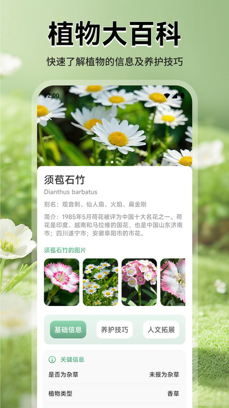 猫满花语app