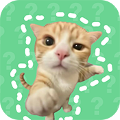 猫meme语音盒手机版v1.02