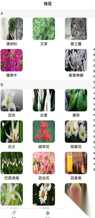 炎焱绿植安卓版