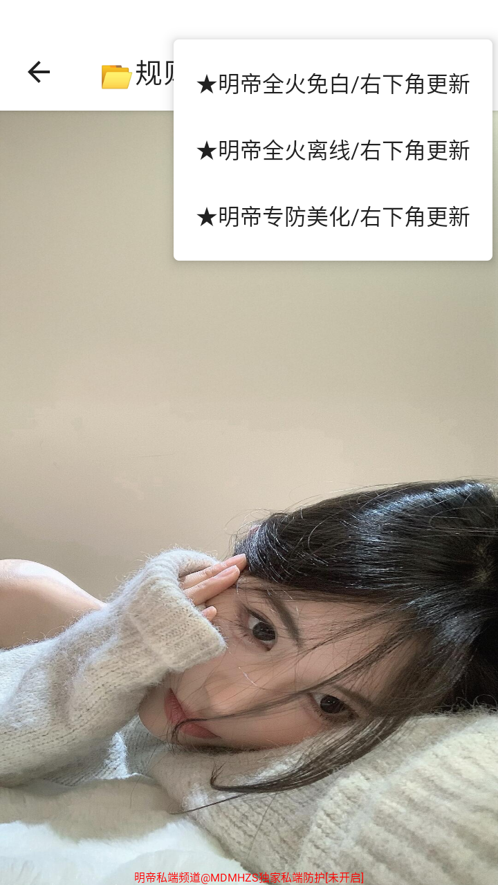 明帝私端apk直装版